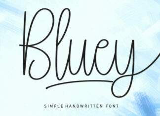 Bluey Script Font