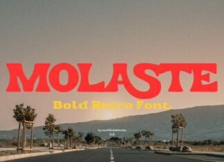 Molaste Retro Font