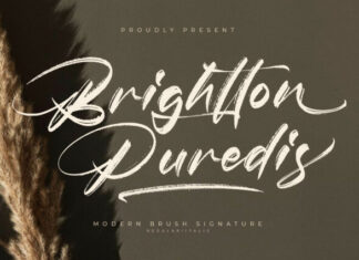 Brightton Puredis Font