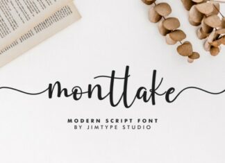 150 Best Free Script Fonts For Designers in 2023