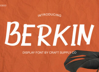 Berkin Font
