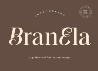 50 Best Free Elegant Fonts to Level Up Your Designs