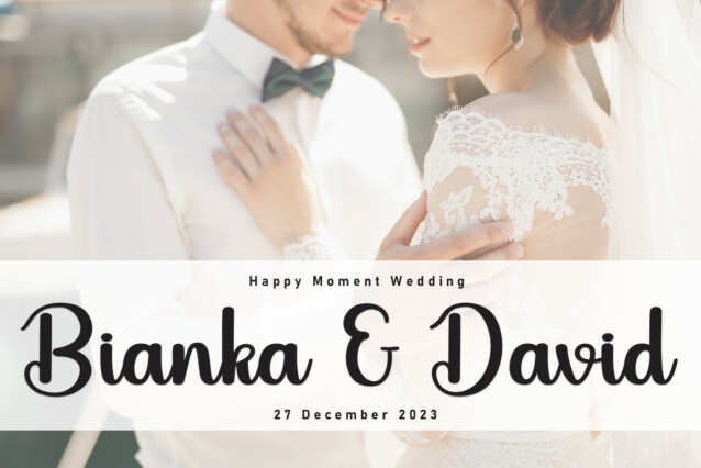 Batwing Script Font preview image 2