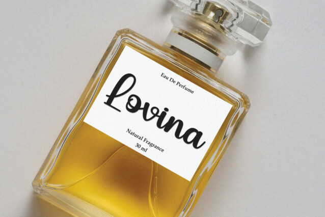 Batwing Script Font preview image 4