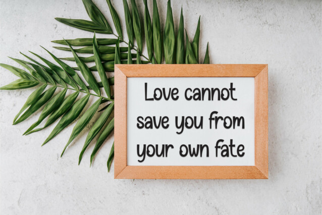 Love Samantha Display Font preview image 3
