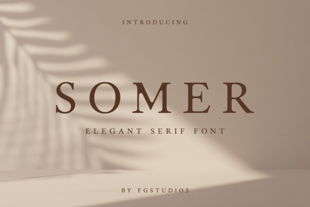 Somer Font preview image 1