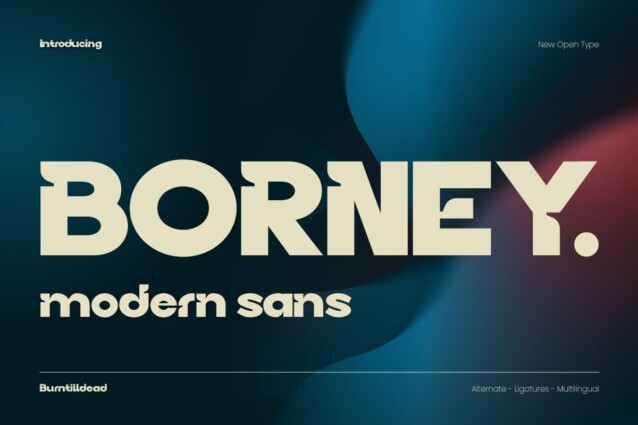 Borney Font preview image 1