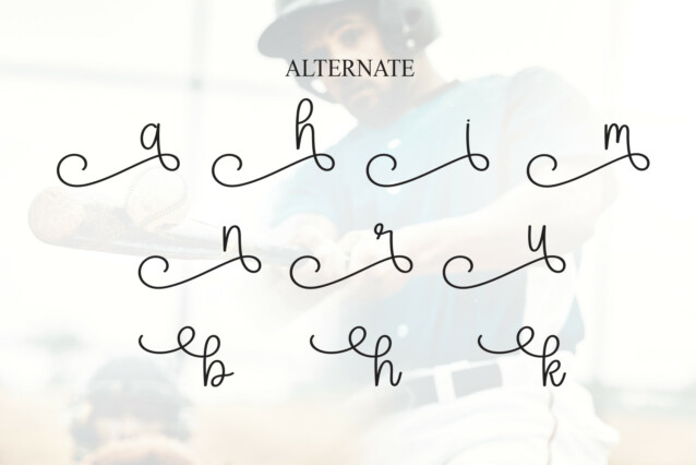 Baseball Script Typeface preview image 5