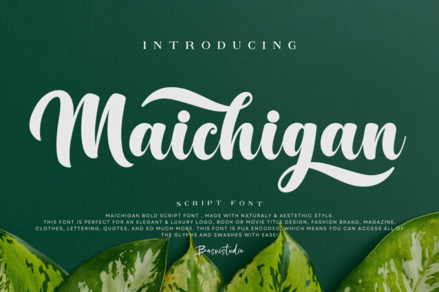 Cursive Michigan Script Maichigan Bold Script Font - Befonts