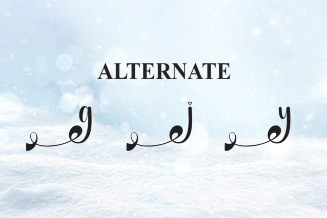 Snowday Script Font preview image 5