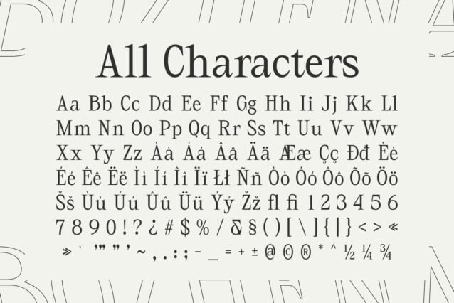 CS Bozhena Font preview image 5