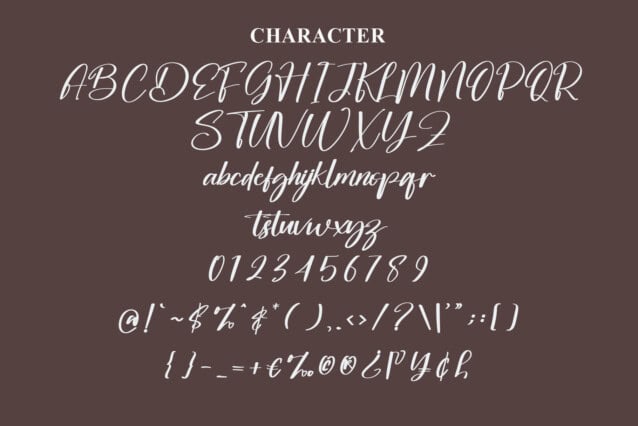 Stay Humbling Script Font preview image 3