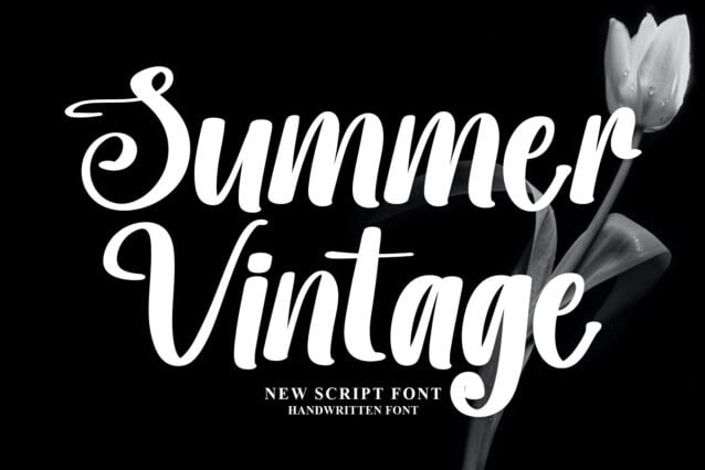 Summer Vintage Script Font - Befonts