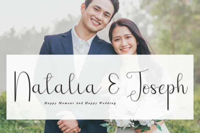 Festival Solstice Script Font preview image 2
