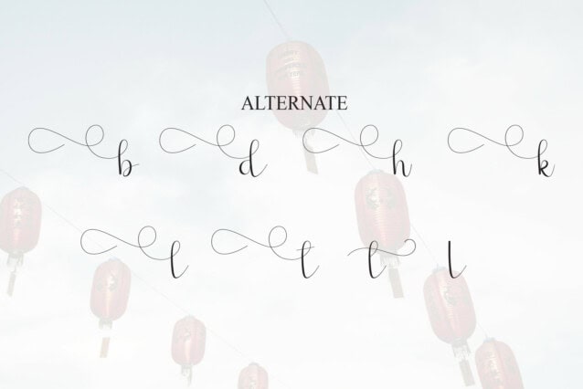 Festival Solstice Script Font preview image 5