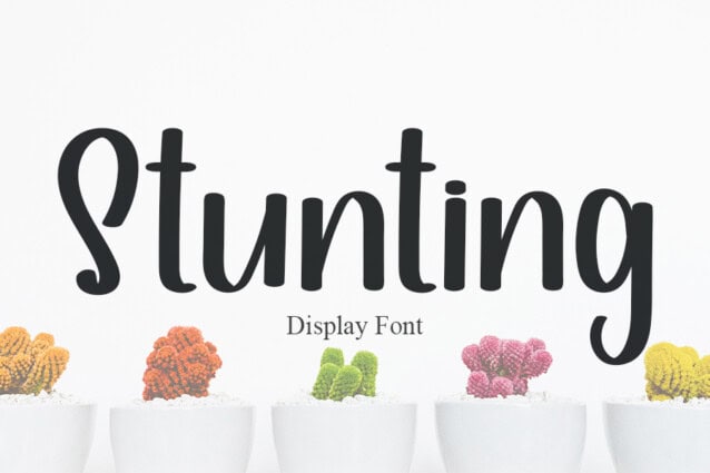 Stunting Display Font