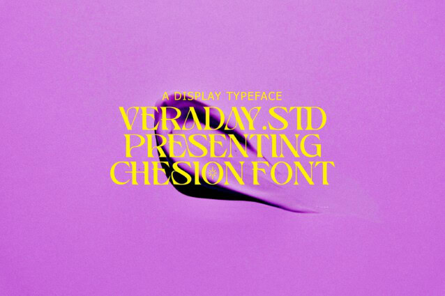 Chesion Font preview image 4