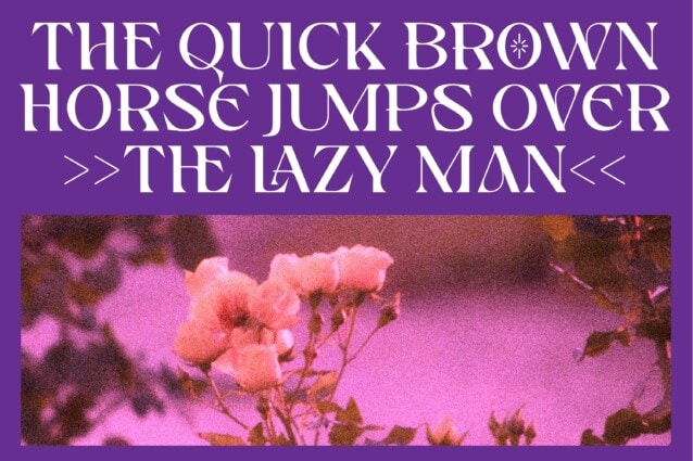 Chesion Font preview image 3