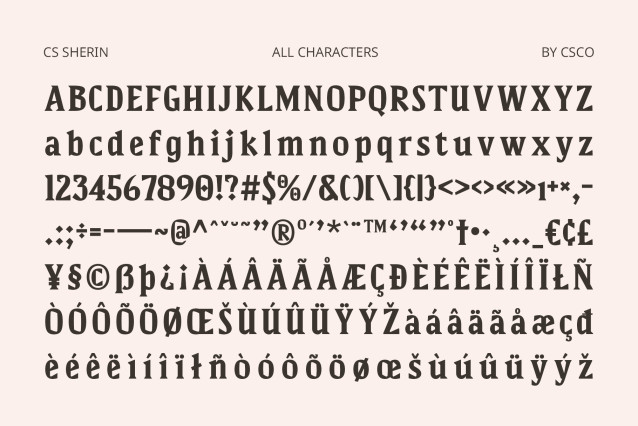 CS Sherin Font preview image 5