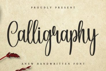 Calligraphy Script Font