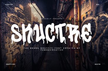 Skuctre Display Font