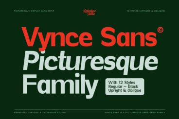 Vynce Sans Font