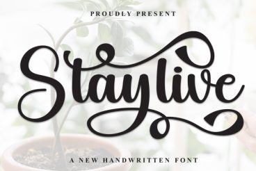 Staylive Calligraphy Font