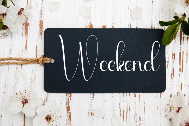 Romance Script Font preview image 4