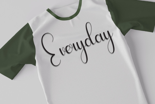 Romance Script Font preview image 5