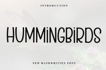 Hummingbirds Display Font