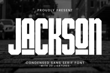 Jackson Sans Serif Font
