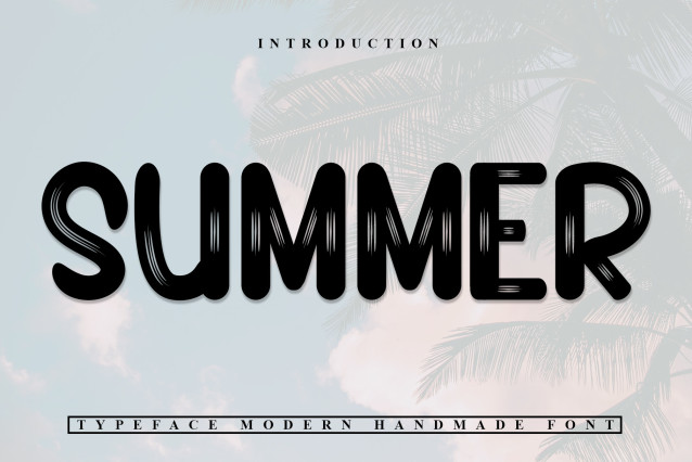 Summer Modern Script Font - Befonts