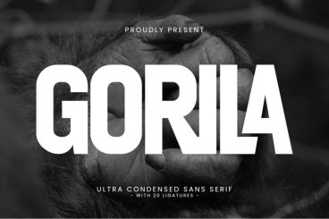 Gorila Sans Serif Font