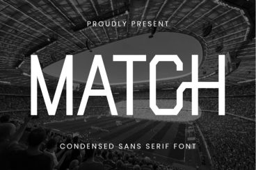 Match Sans Serif Font