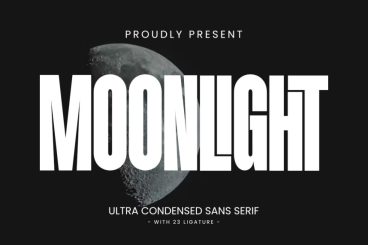 Moonlight Sans Serif Font