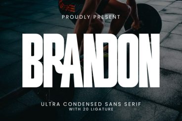 Brandon Sans Serif Font