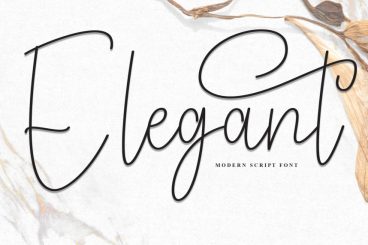 Elegant Handwritten Script Font