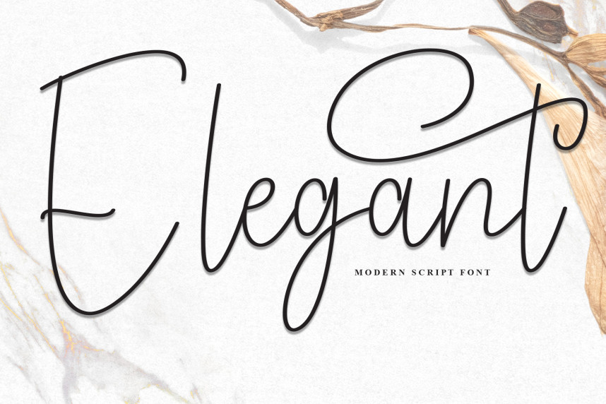 Elegant Handwritten Script Font - Befonts