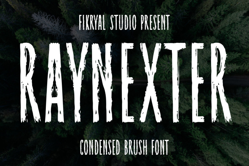 Raynexter - Condensed Brush Font