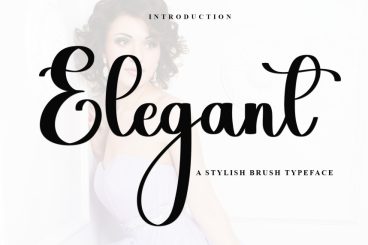 Elegant Script Brush Font