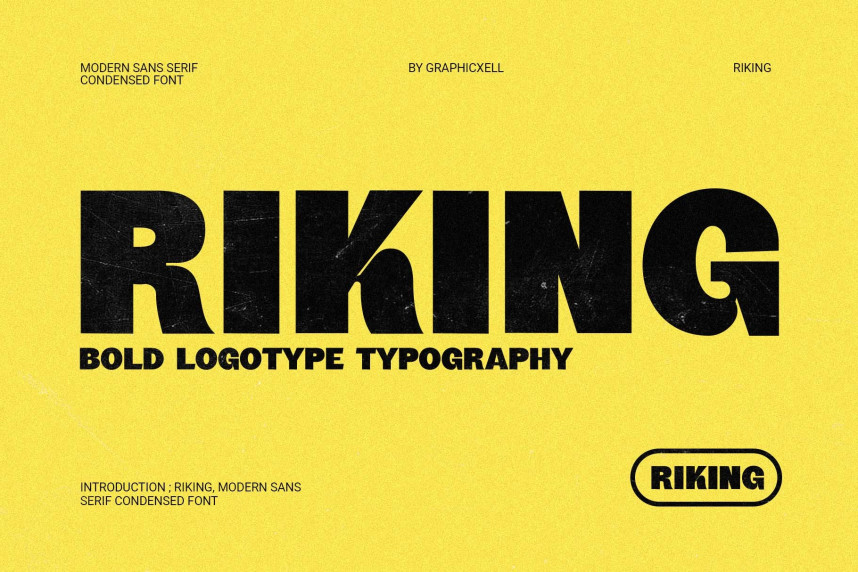 Riking Sans Serif Font preview image 1