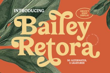 Bailey Retora Serif Font