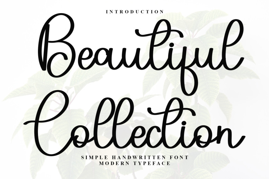 Beautiful Collection Style Script Font - Befonts