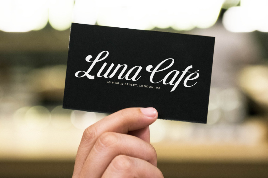Brellight Script Font preview image 2