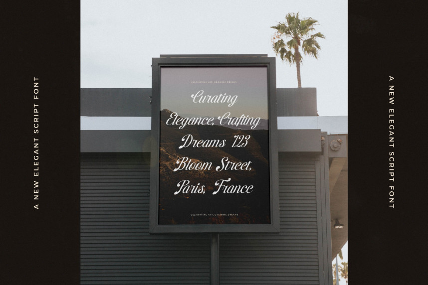 Brellight Script Font preview image 5