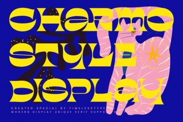 Charmo Style - Modern Display Serif Font