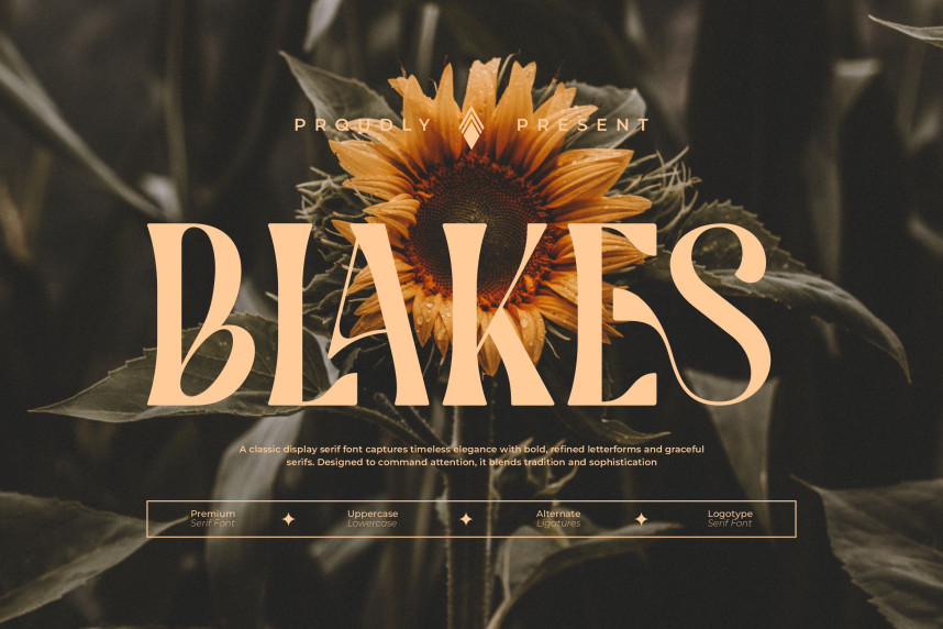 Blakes Font - Befonts