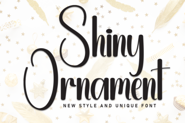 Shiny Ornament - New Style And Unique Font