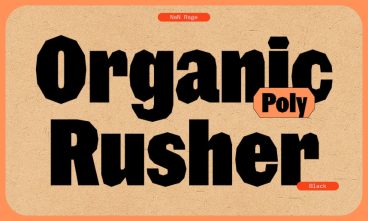 NaN Rage Poly Font Family