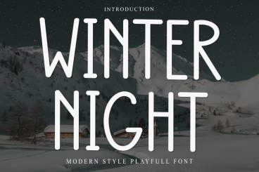 Winter Night – Modern Style Playful Font